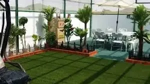 مظلات السطح